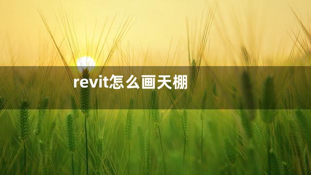 revit怎么画天棚