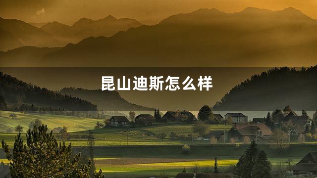 昆山迪斯怎么样