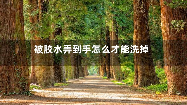 被胶水弄到手怎么才能洗掉