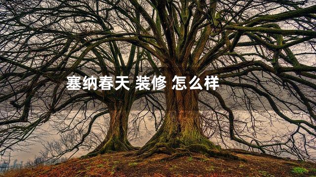 塞纳春天 装修 怎么样