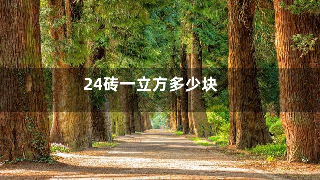 24砖一立方多少块