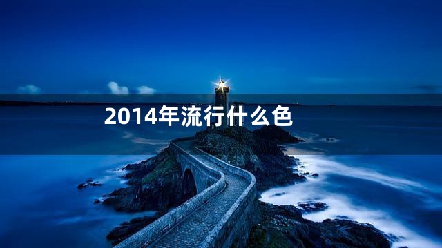 2014年流行什么色