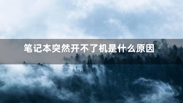 笔记本突然开不了机是什么原因