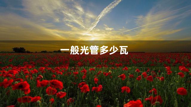 一般光管多少瓦