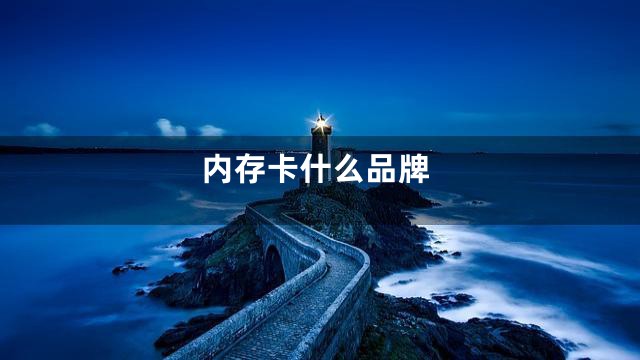 内存卡什么品牌