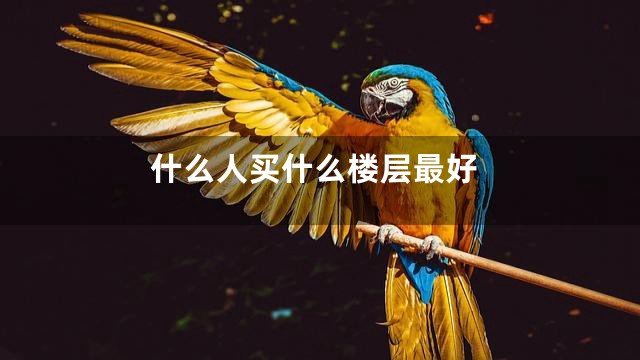 什么人买什么楼层最好