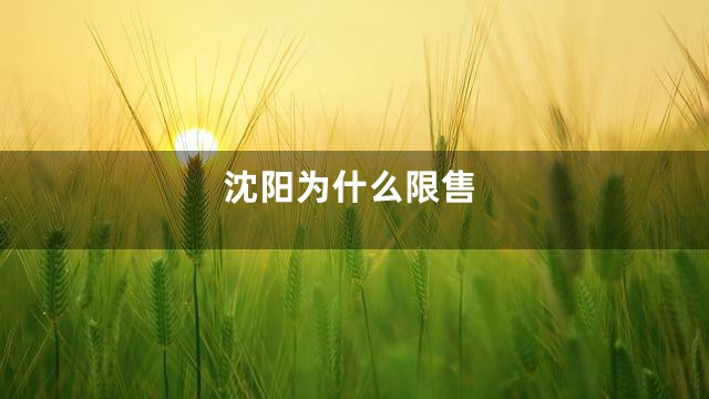 沈阳为什么限售