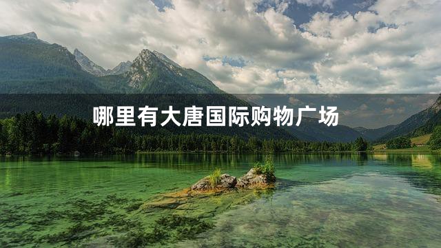 哪里有大唐国际购物广场