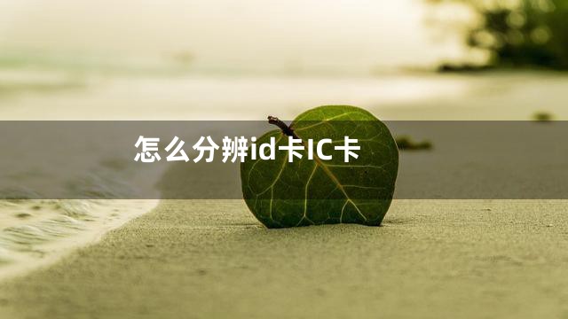 怎么分辨id卡IC卡