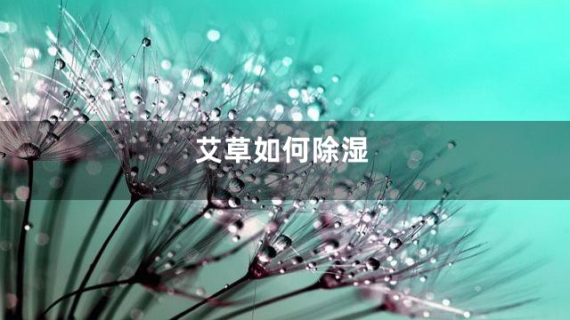 艾草如何除湿