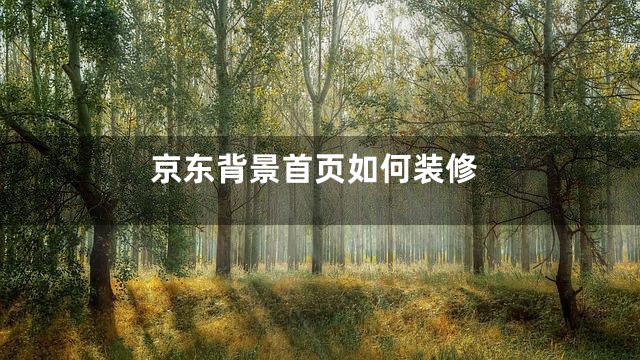 京东背景首页如何装修