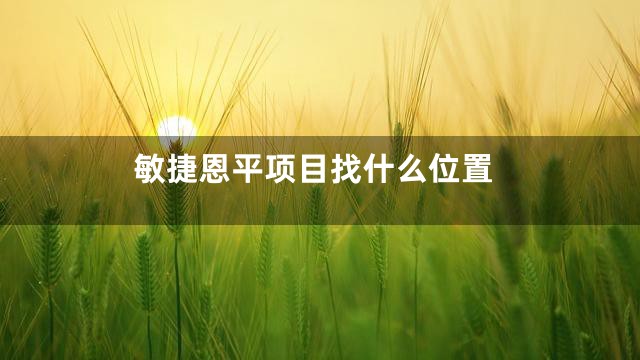 敏捷恩平项目找什么位置