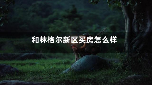 和林格尔新区买房怎么样