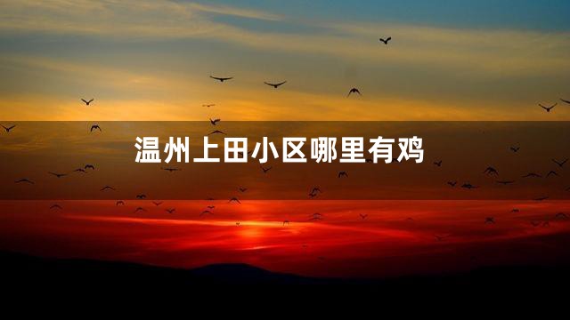 温州上田小区哪里有鸡