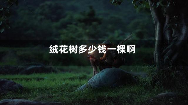 绒花树多少钱一棵啊