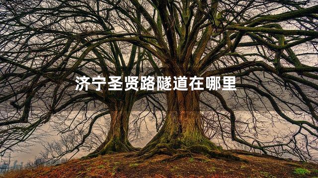 济宁圣贤路隧道在哪里