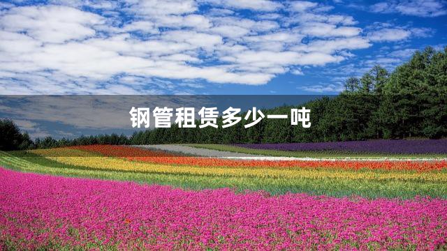 钢管租赁多少一吨