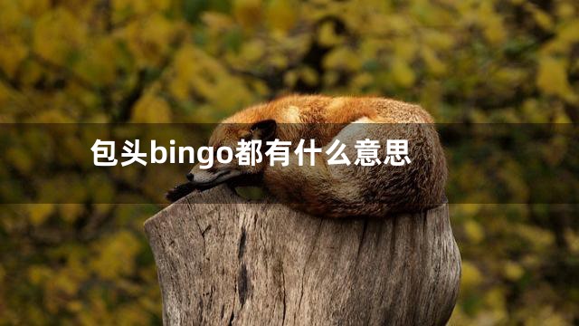 包头bingo都有什么意思
