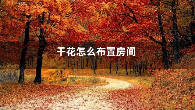 干花怎么布置房间