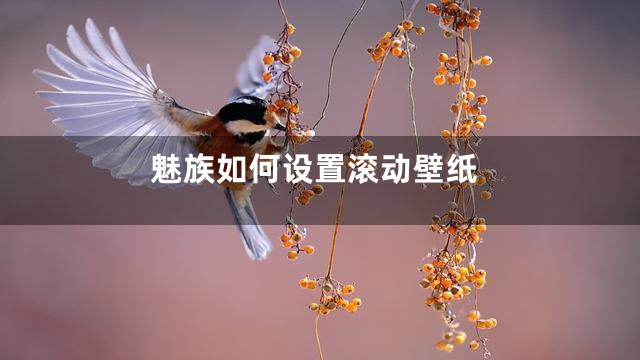 魅族如何设置滚动壁纸