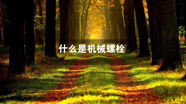 什么是机械螺栓