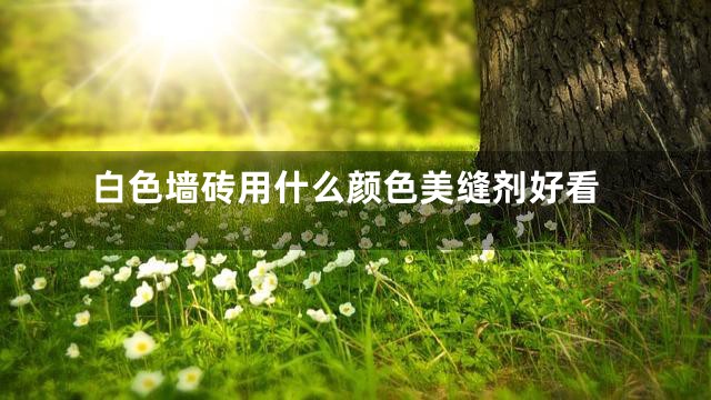 白色墙砖用什么颜色美缝剂好看