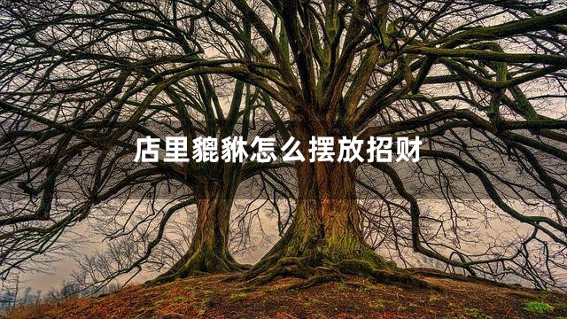 店里貔貅怎么摆放招财