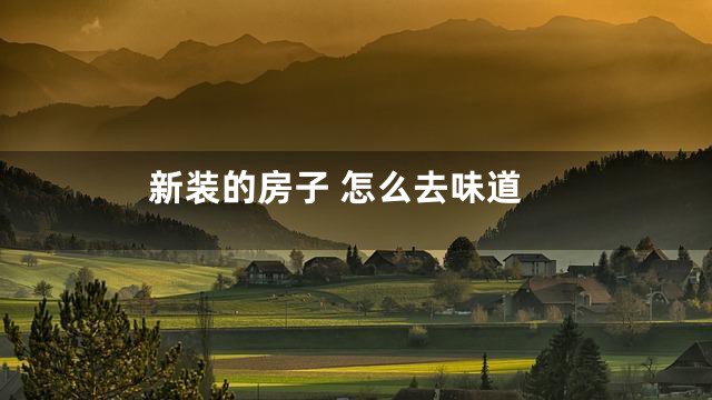 新装的房子 怎么去味道
