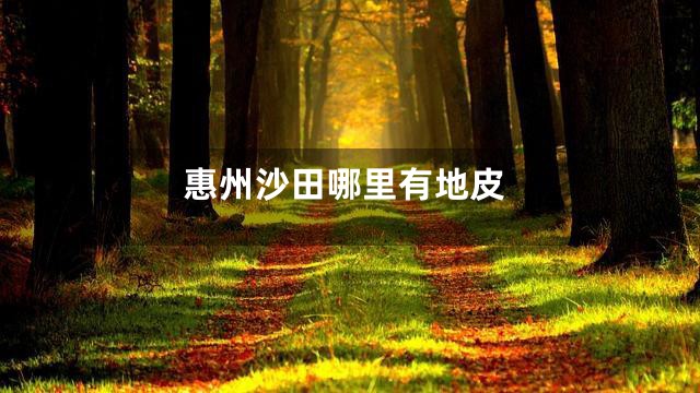 惠州沙田哪里有地皮