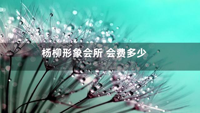 杨柳形象会所 会费多少