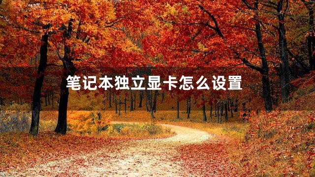 笔记本独立显卡怎么设置