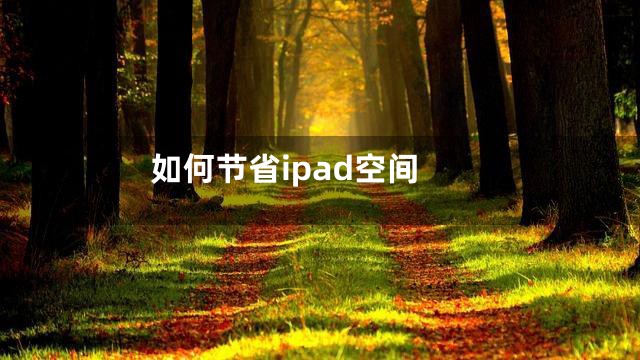 如何节省ipad空间