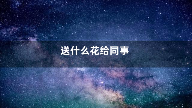 送什么花给同事