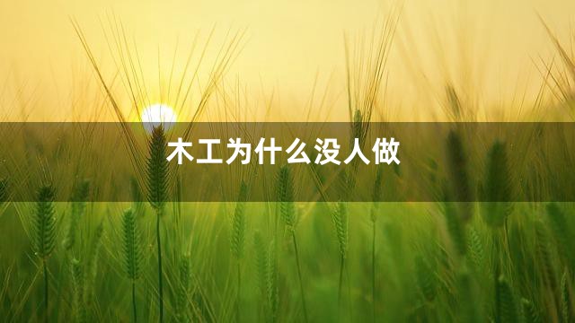 木工为什么没人做