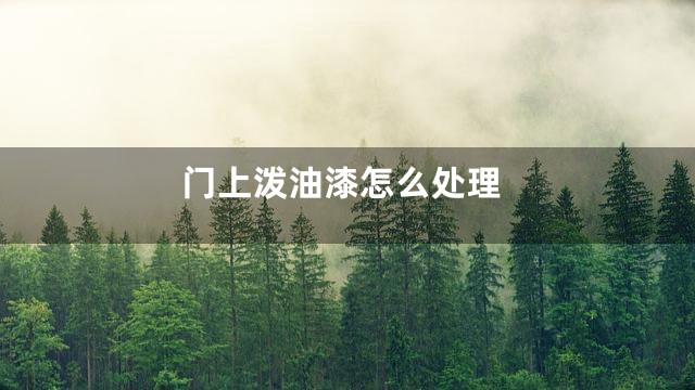 门上泼油漆怎么处理