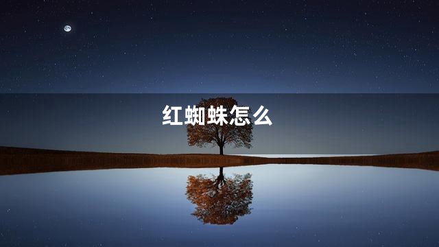 红蜘蛛怎么