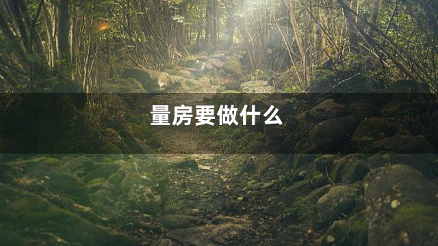 量房要做什么