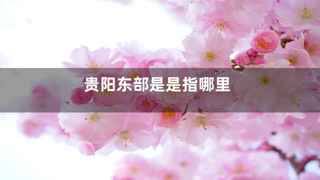 贵阳东部是是指哪里