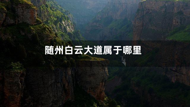 随州白云大道属于哪里