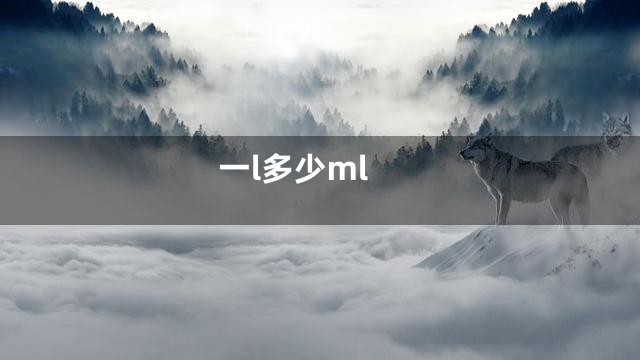 一l多少ml