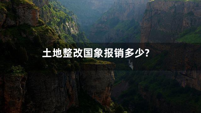 土地整改国象报销多少?