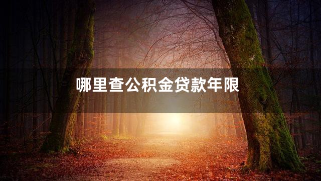 哪里查公积金贷款年限