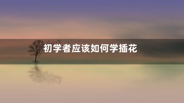 初学者应该如何学插花