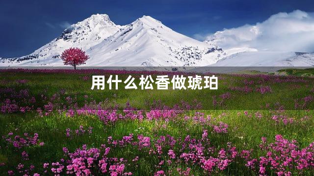 用什么松香做琥珀