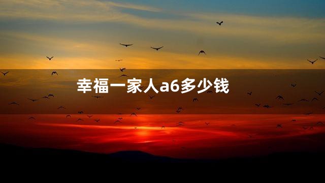 幸福一家人a6多少钱