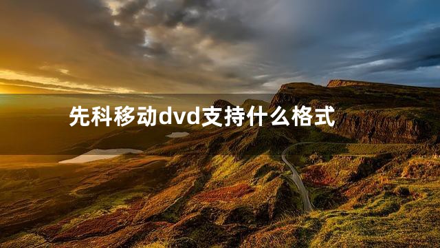 先科移动dvd支持什么格式