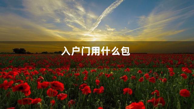 入户门用什么包