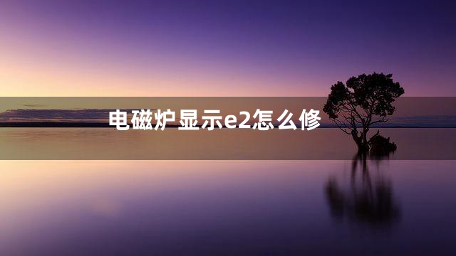 电磁炉显示e2怎么修