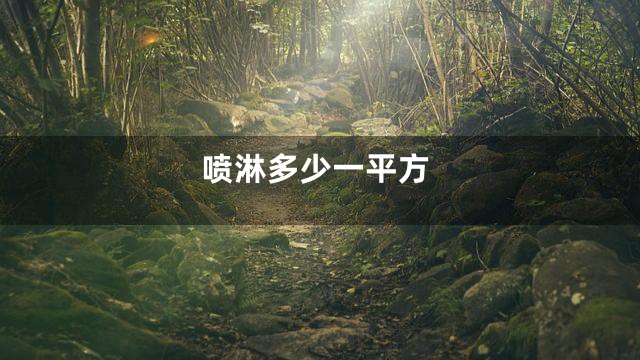 喷淋多少一平方