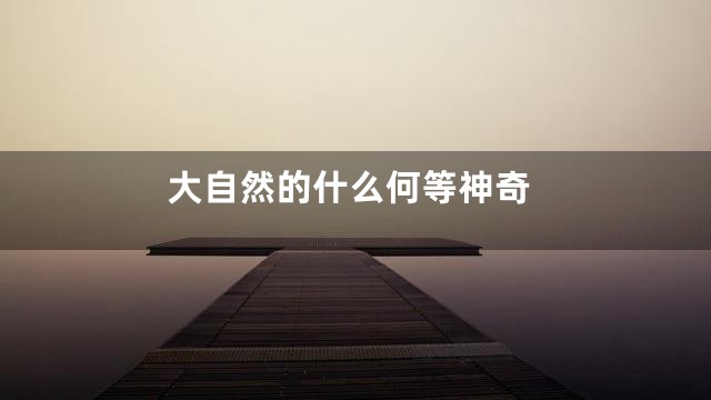 大自然的什么何等神奇